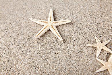 《国王的恩赐2》发售宣传片 游戏今日正式发售